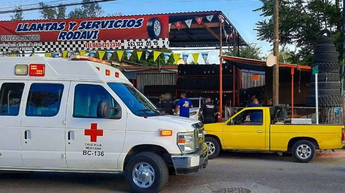 2063b7e7-380d-4808-ae62-0d1ce5f9338b