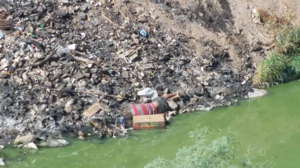 WhatsApp Image 2018-07-12 at 09.07.14