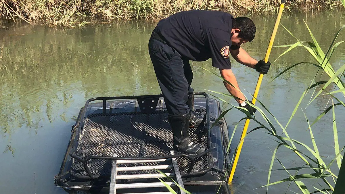 Cae auto en tulichek
