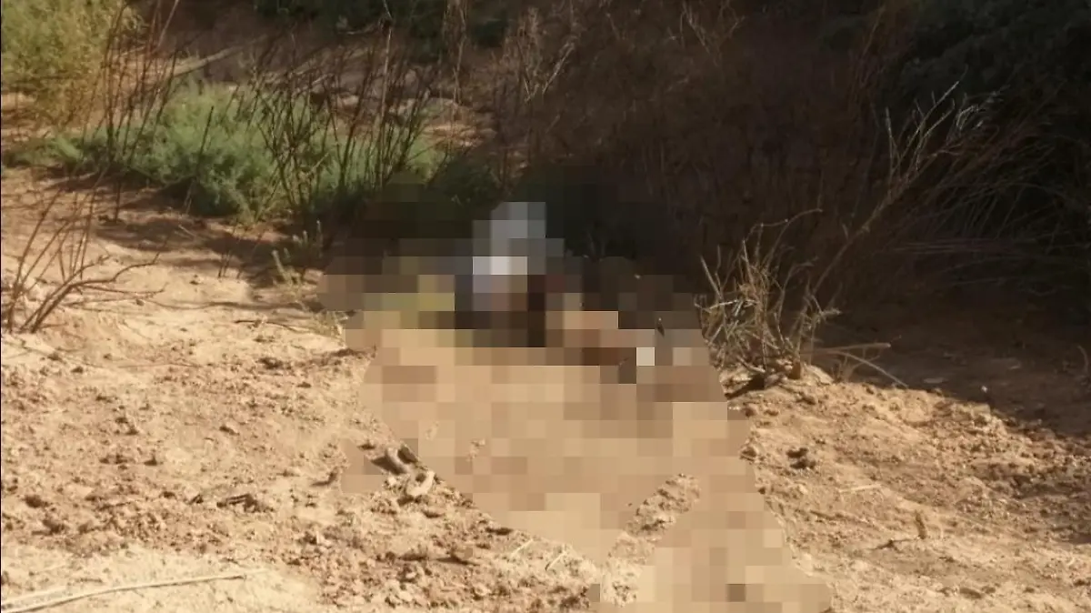 af95f882-0c3d-4413-8ba8-7291192799cf