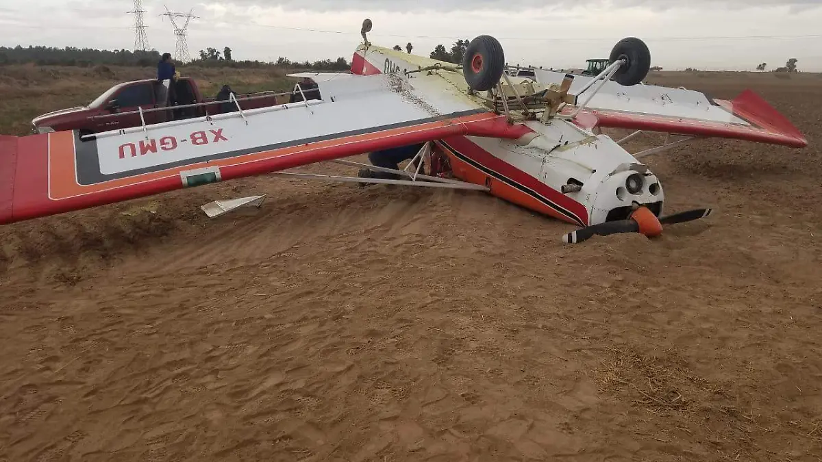 WhatsApp Image 2019-11-19 at 12.25.27 PM