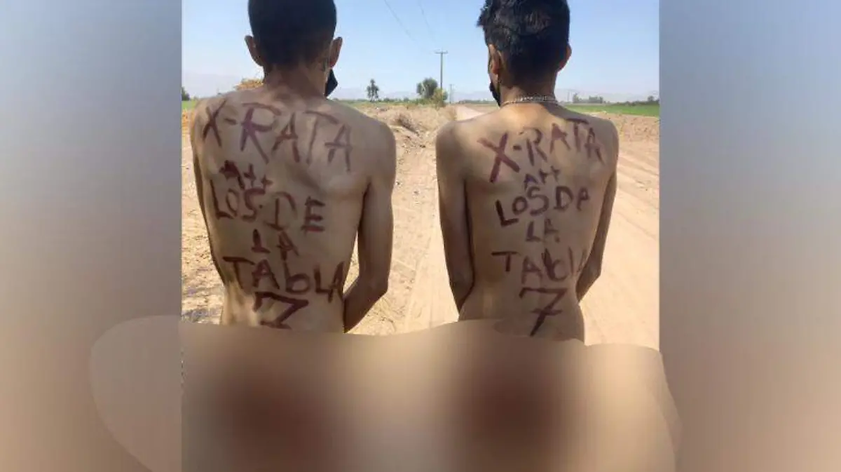 ratas golpeados