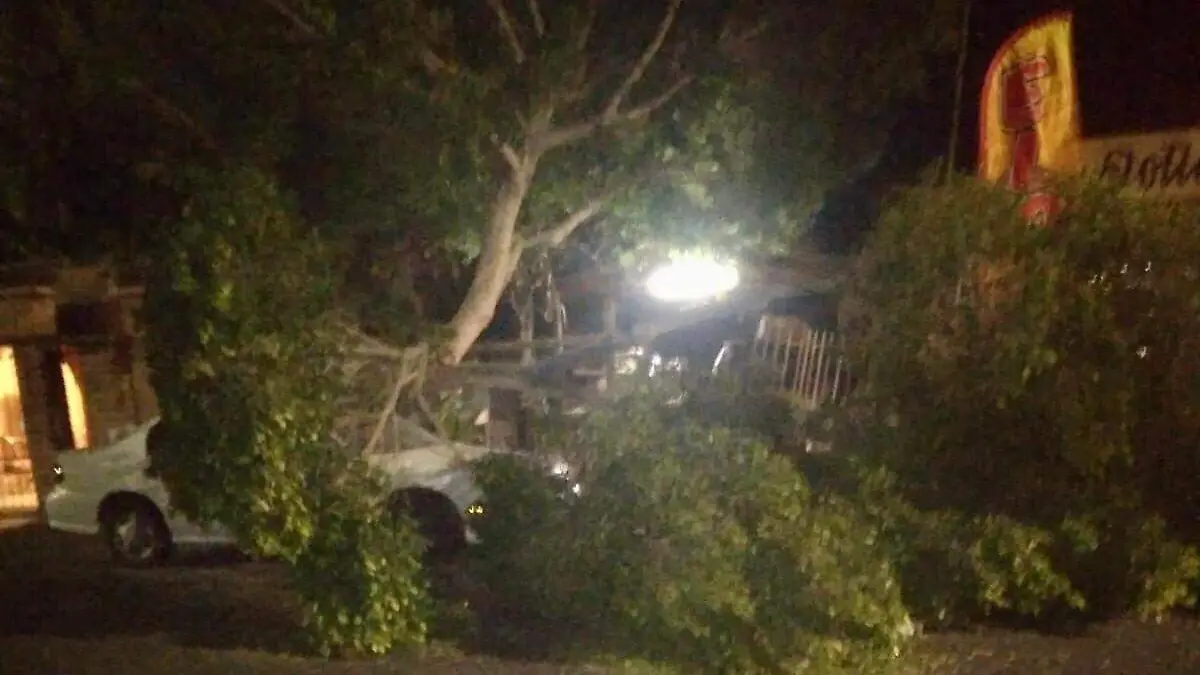 WhatsApp Image 2021-12-15 at 11.27.04 AM