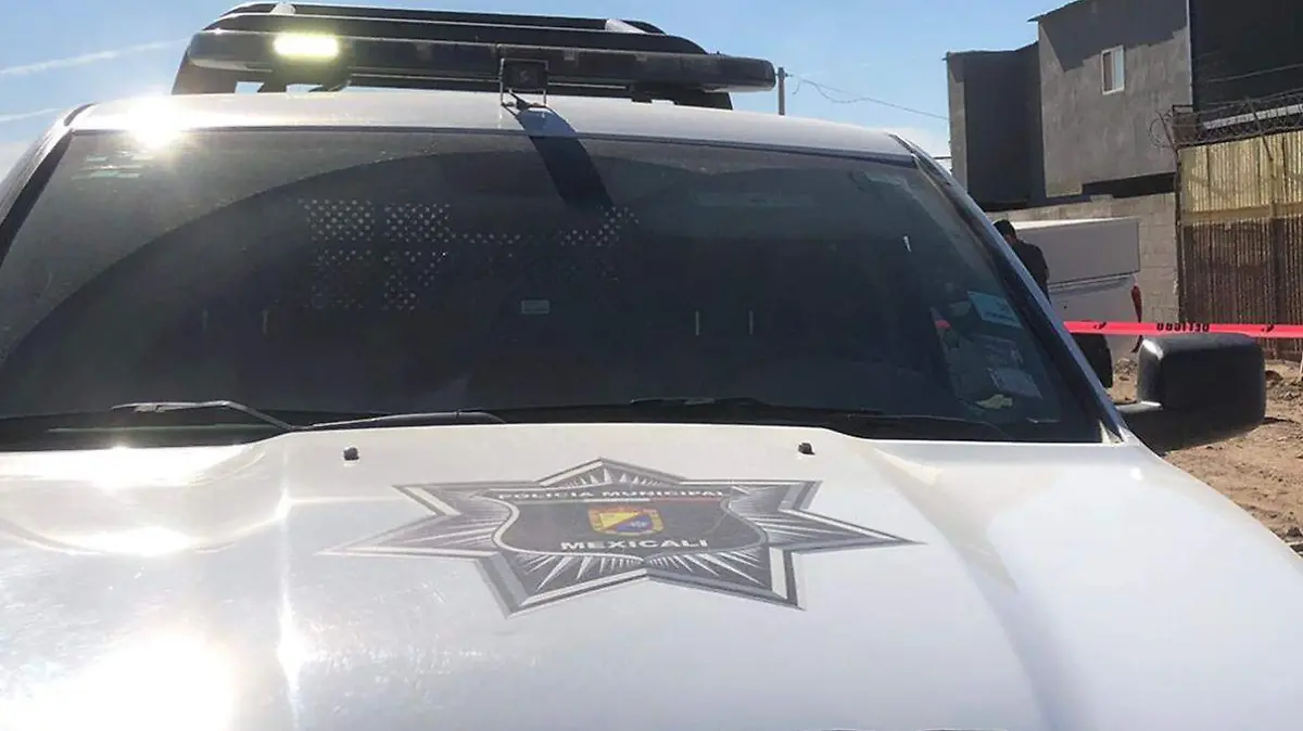 WhatsApp Image 2022-01-26 at 11.20.37 AM