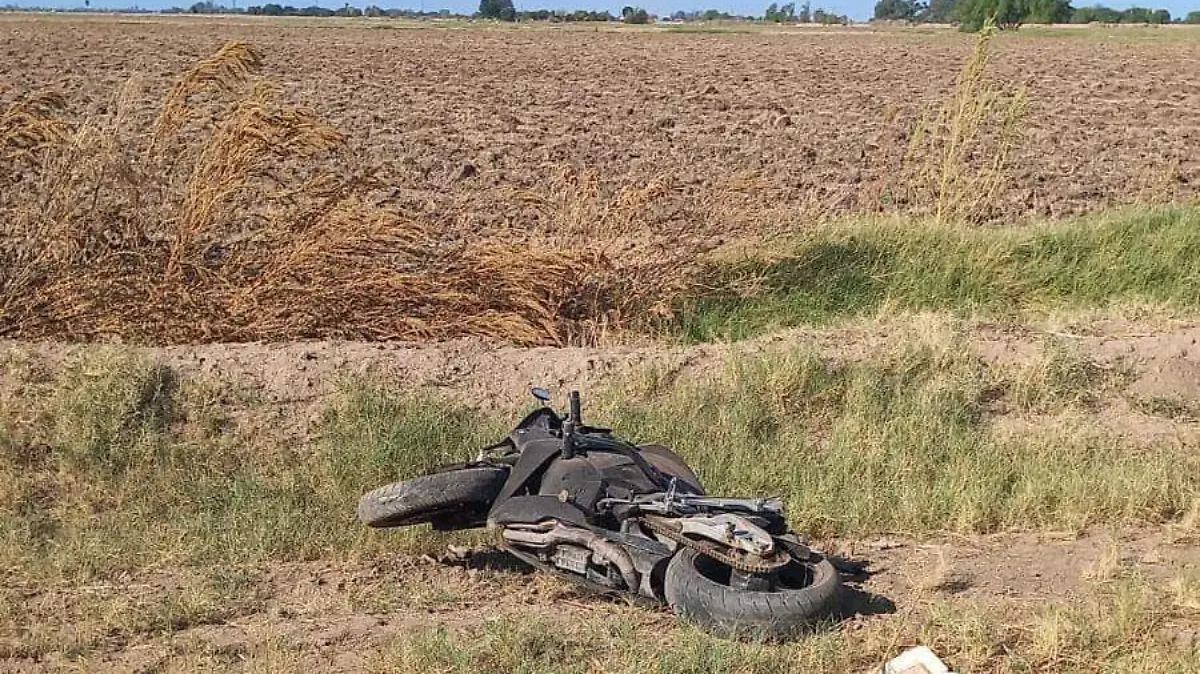 WhatsApp Image 2022-10-02 at 10.37.58 AM