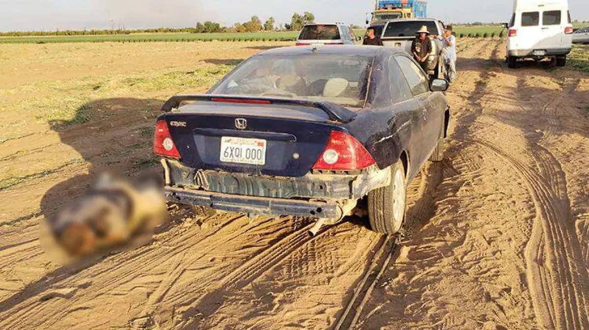 a9a4529d-3e02-4bcb-baed-e66f38fc0602