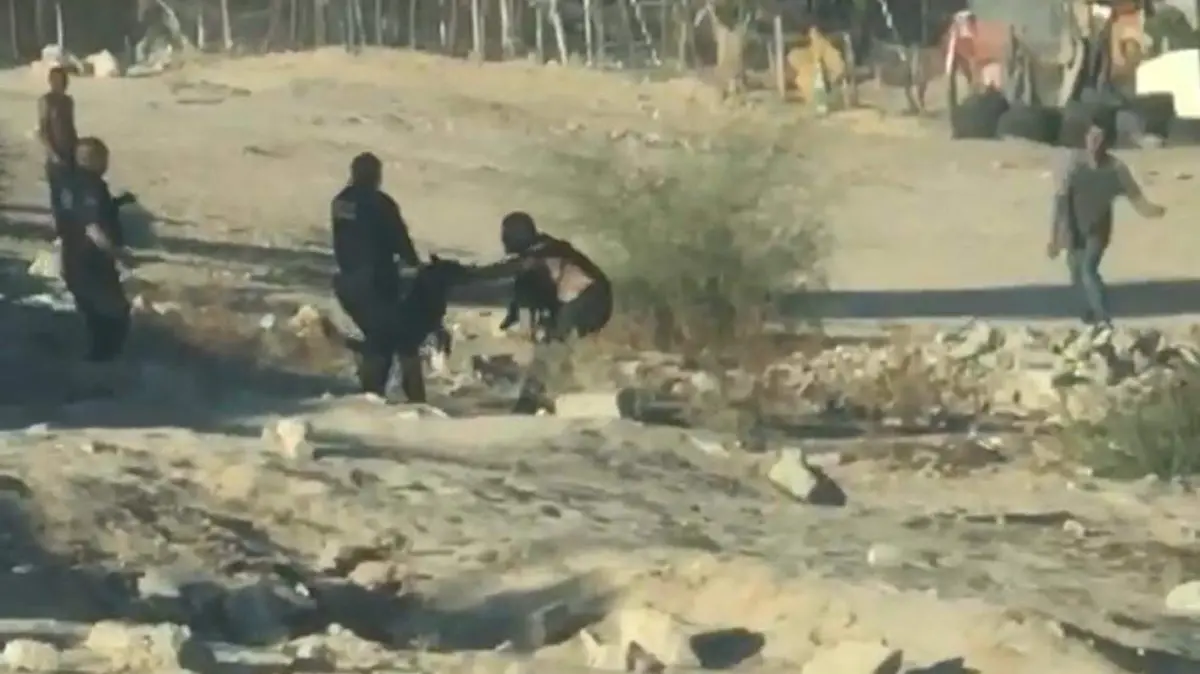 WhatsApp Image 2019-10-23 at 10.37.45 AM