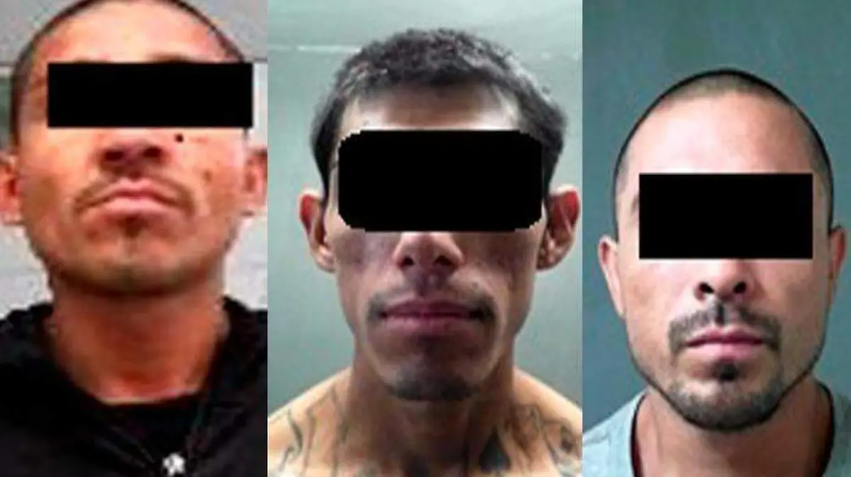 WhatsApp Image 2019-02-27 at 12.34.48