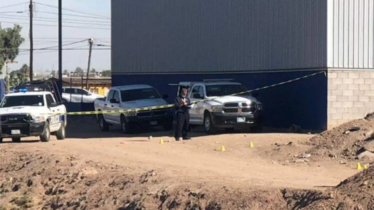 WhatsApp Image 2021-11-17 at 10.29.23 AM