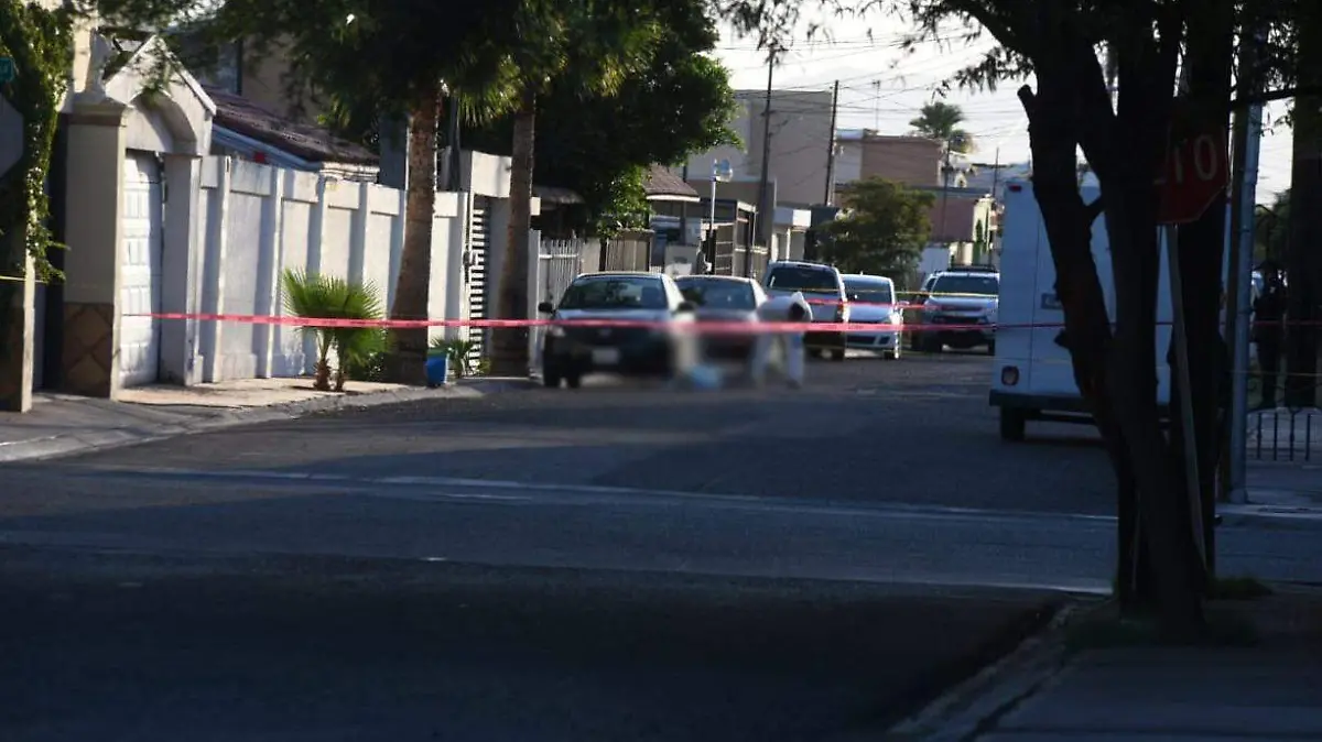 bc6fa5f6-0a6c-47b5-806a-8f44e01bb9b2