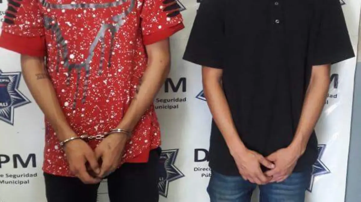 WhatsApp Image 2020-08-09 at 13.22.18