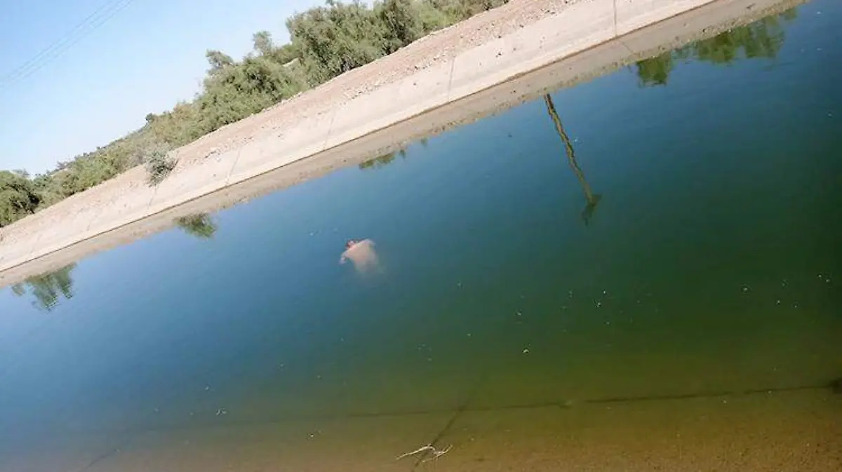 5fa98511-ebbb-47c1-8ed8-ab89170a184c