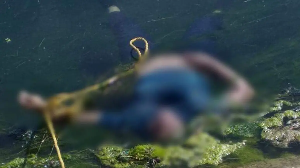 WhatsApp Image 2020-10-19 at 8.52.49 AM