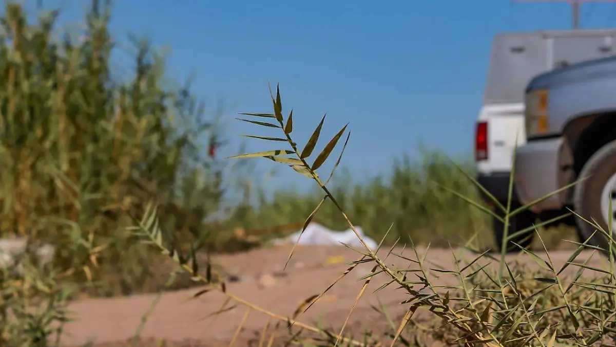 Hallan cadáver calcinado en Huertas de la Progreso