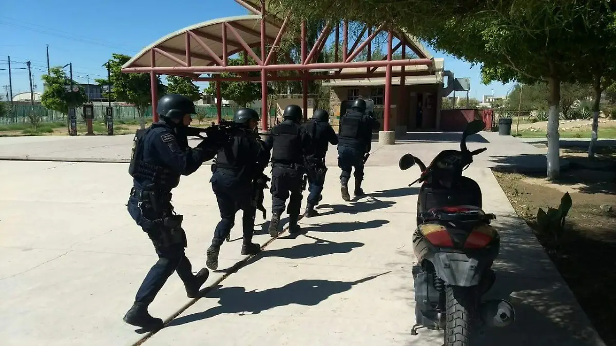 WhatsApp Image 2018-09-27 at 13.40.59