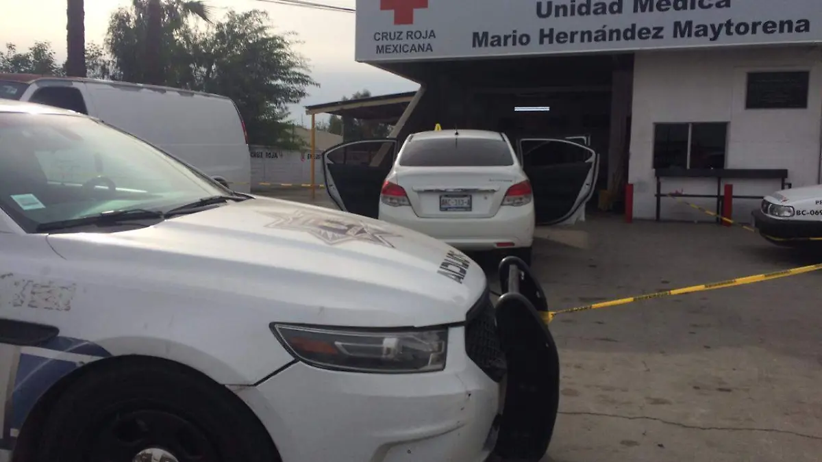 WhatsApp Image 2019-12-03 at 9.17.26 AM