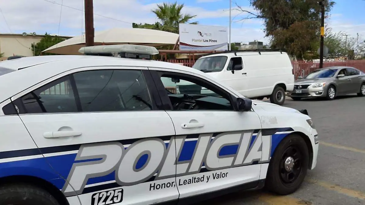 WhatsApp Image 2020-03-02 at 12.39.10 PM