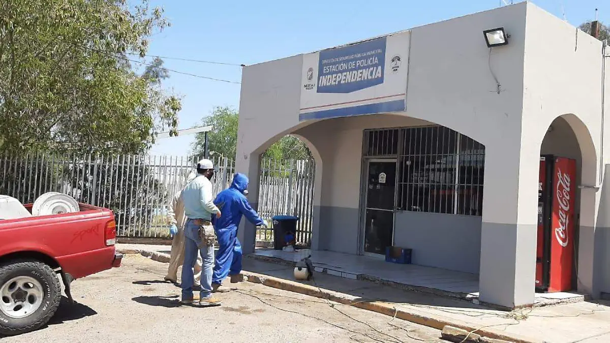 WhatsApp Image 2020-04-28 at 1.40.55 PM