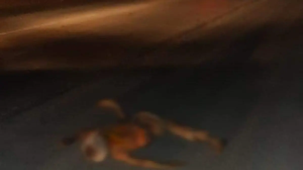 f4107df9-1a89-4521-8b2b-37515680e6f4