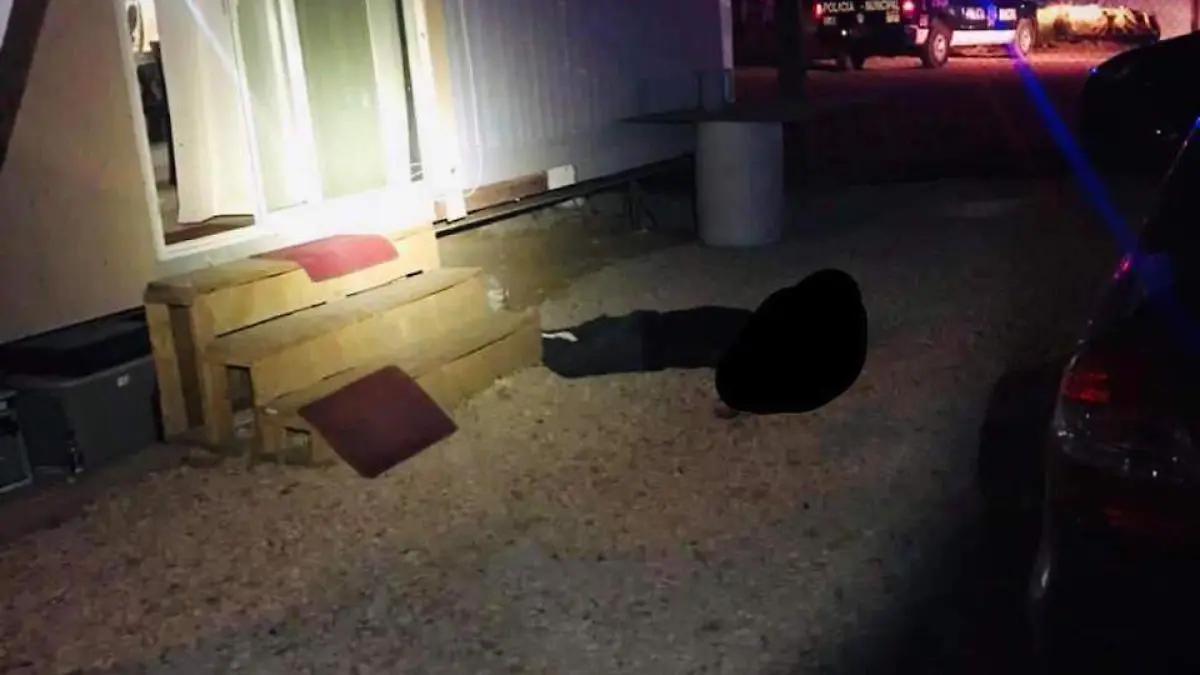 WhatsApp Image 2020-12-01 at 11.06.27 AM