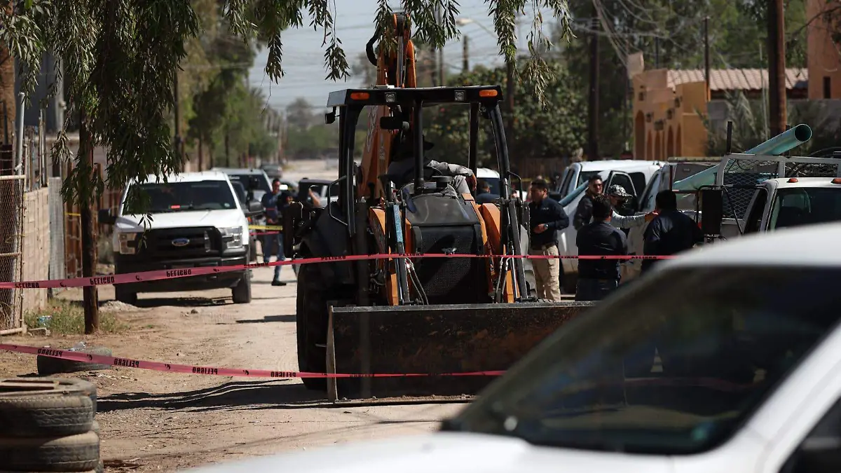 WhatsApp Image 2022-06-03 at 9.24.16 AM