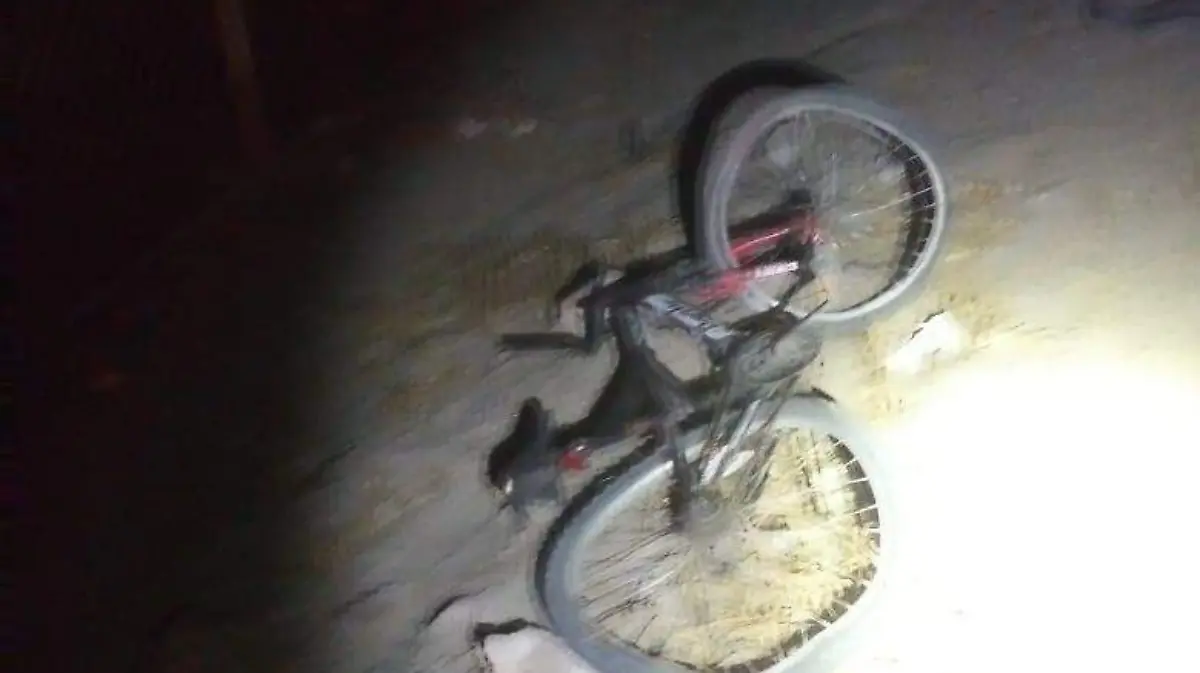 WhatsApp Image 2020-12-10 at 10.24.09 AM