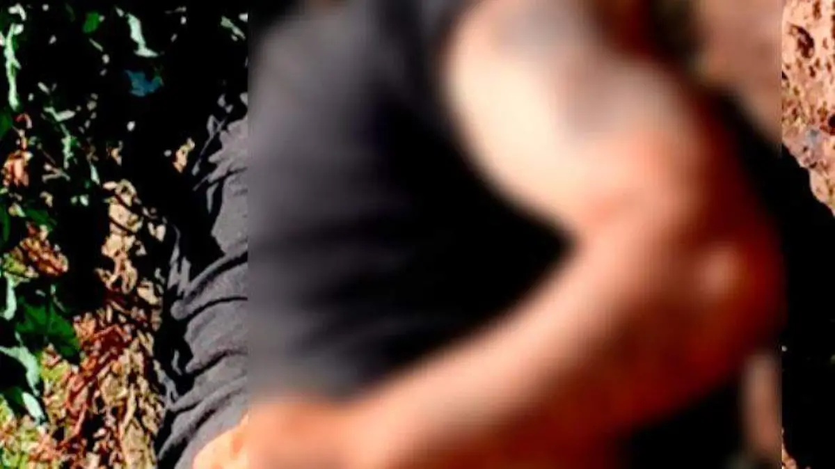 61174d9c-02a7-4ae8-b2bf-6aa3340c8135