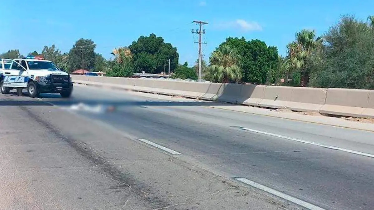 Atropella tractocamión a sujeto en el ejido Hechicera 