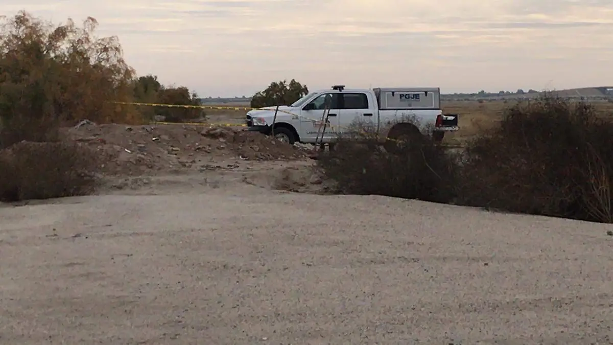 WhatsApp Image 2018-12-17 at 10.47.13