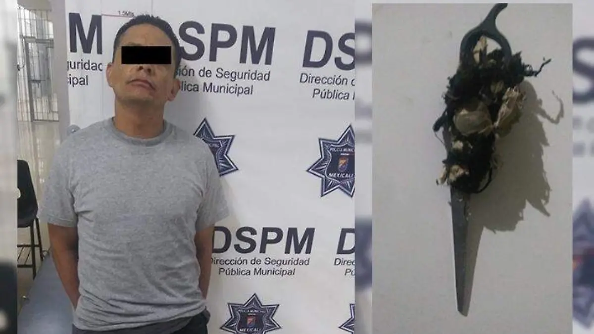 WhatsApp Image 2021-12-09 at 11.55.07 AM