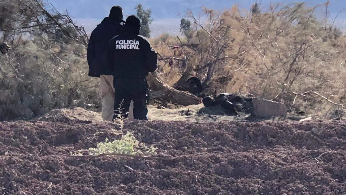 WhatsApp Image 2021-01-26 at 2.29.36 PM