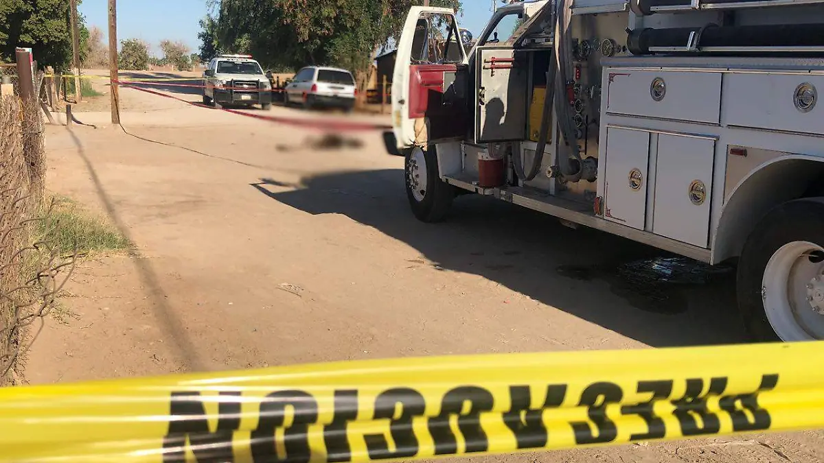 301f8f90-16e1-4064-af73-9deaec1a2f22