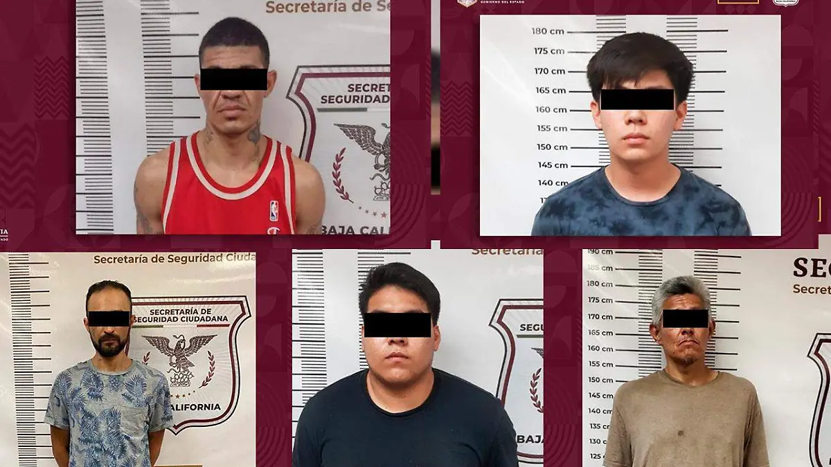 WhatsApp Image 2022-07-10 at 3.46.48 PM (1) copia