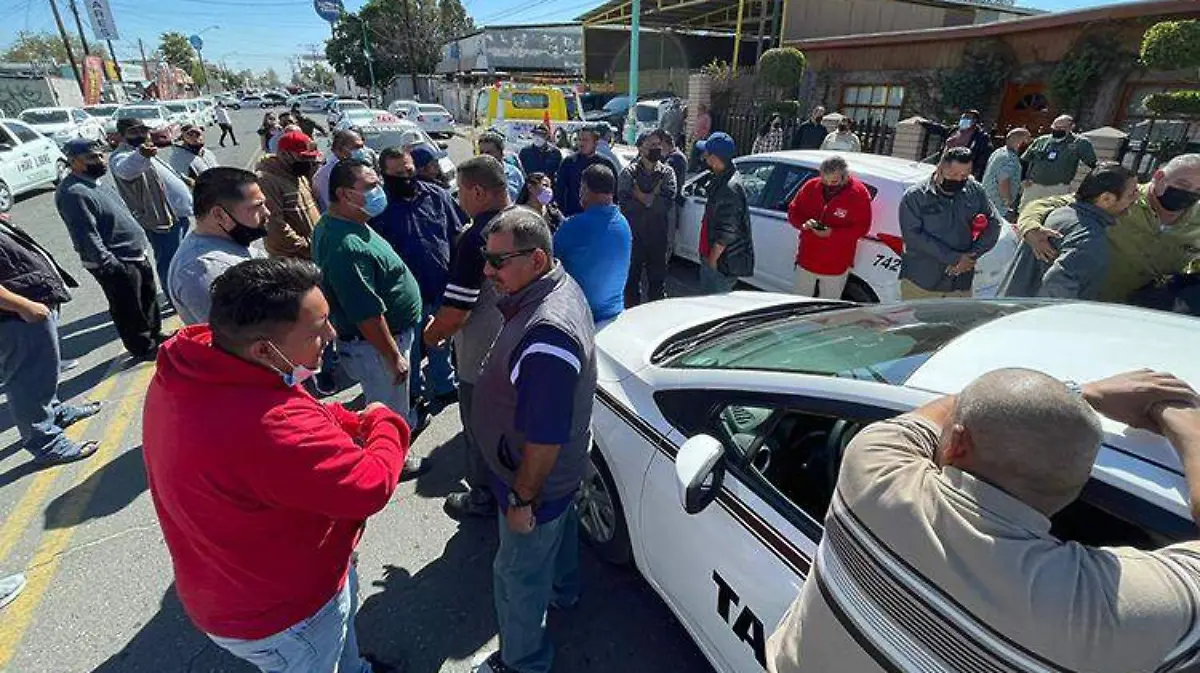 WhatsApp Image 2022-03-10 at 10.19.49 AM