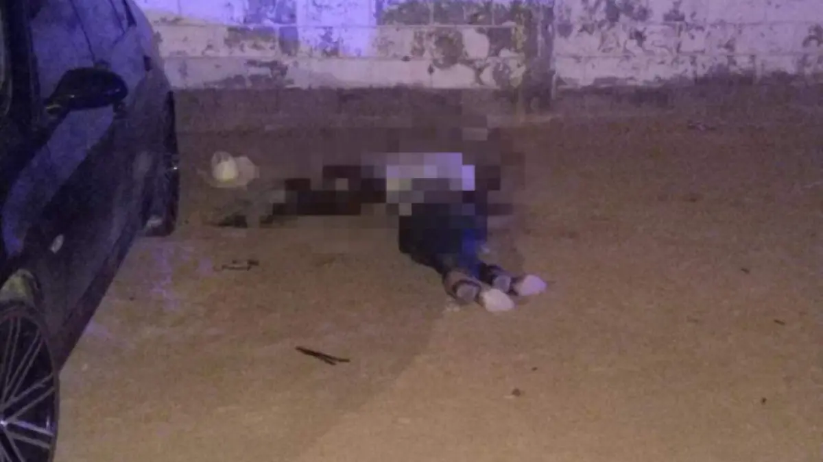 b7694fcd-298d-408d-a730-6860cd404095