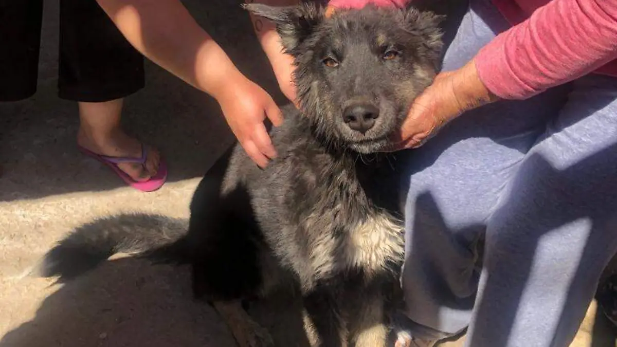 WhatsApp Image 2022-03-27 at 2.58.20 PM