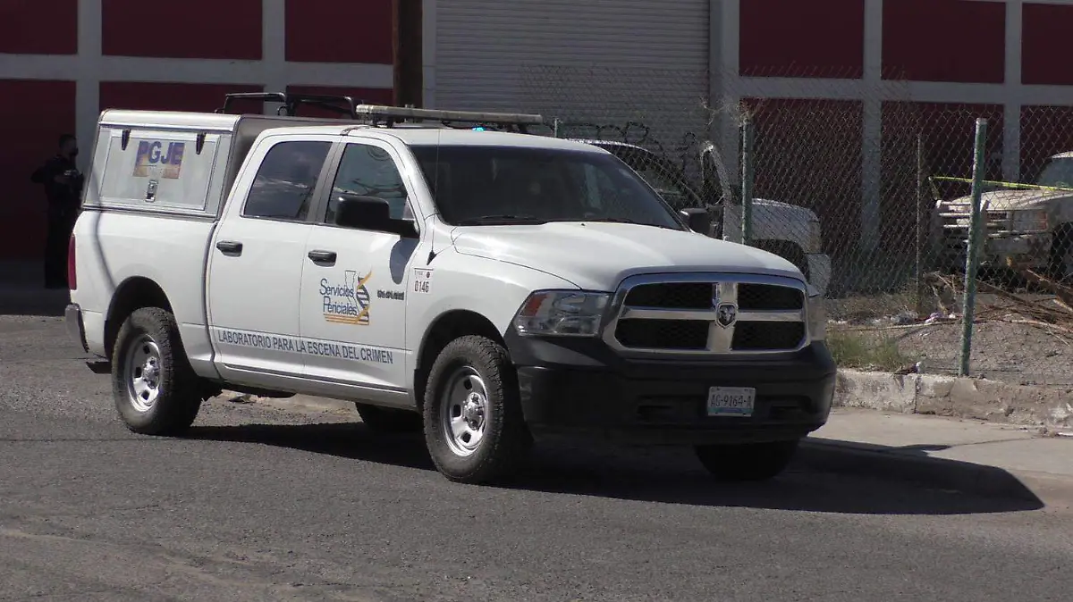 WhatsApp Image 2022-02-20 at 11.34.37 AM (1)