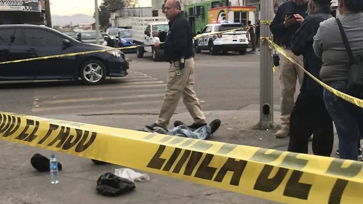 WhatsApp Image 2019-01-29 at 15.55.44