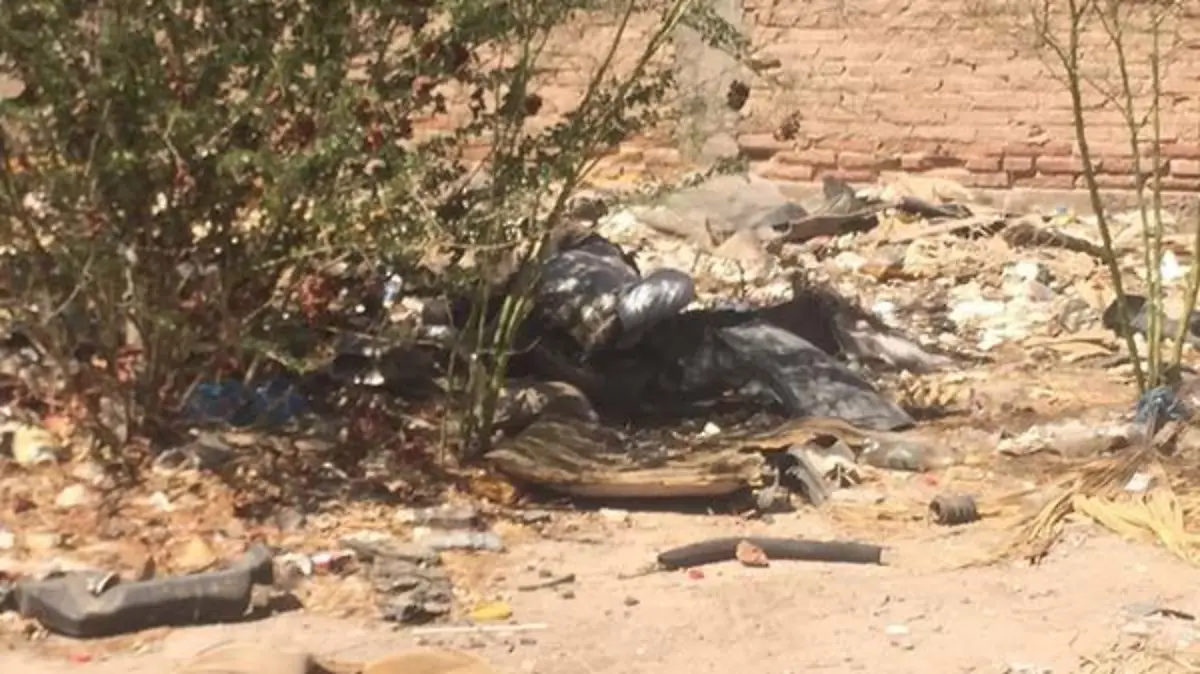 WhatsApp Image 2016-09-03 at 2.21