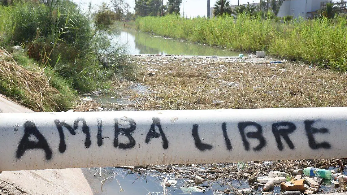 WhatsApp Image 2019-08-21 at 1.59.52 PM