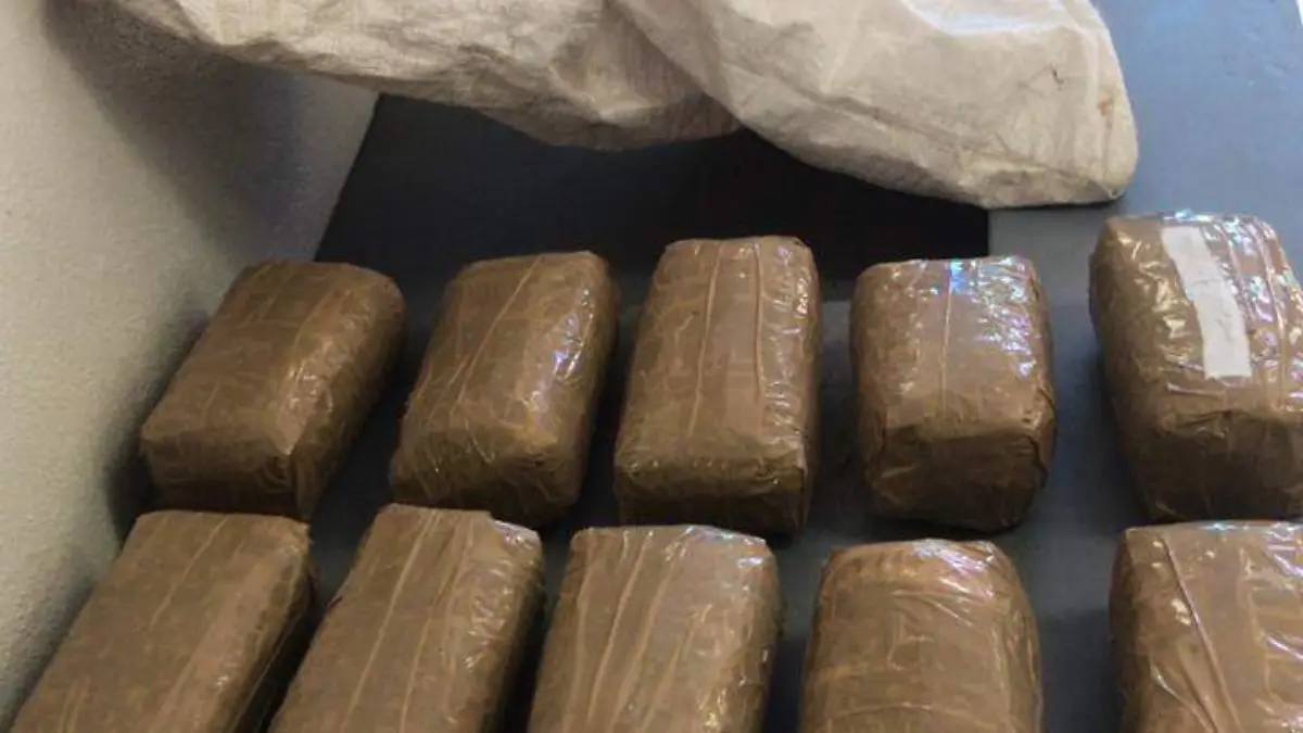 WhatsApp Image 2019-09-27 at 1.17.53 PM