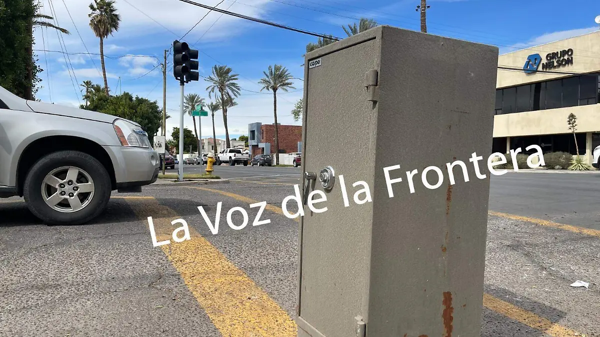 WhatsApp Image 2023-03-01 at 11.23.46 AM