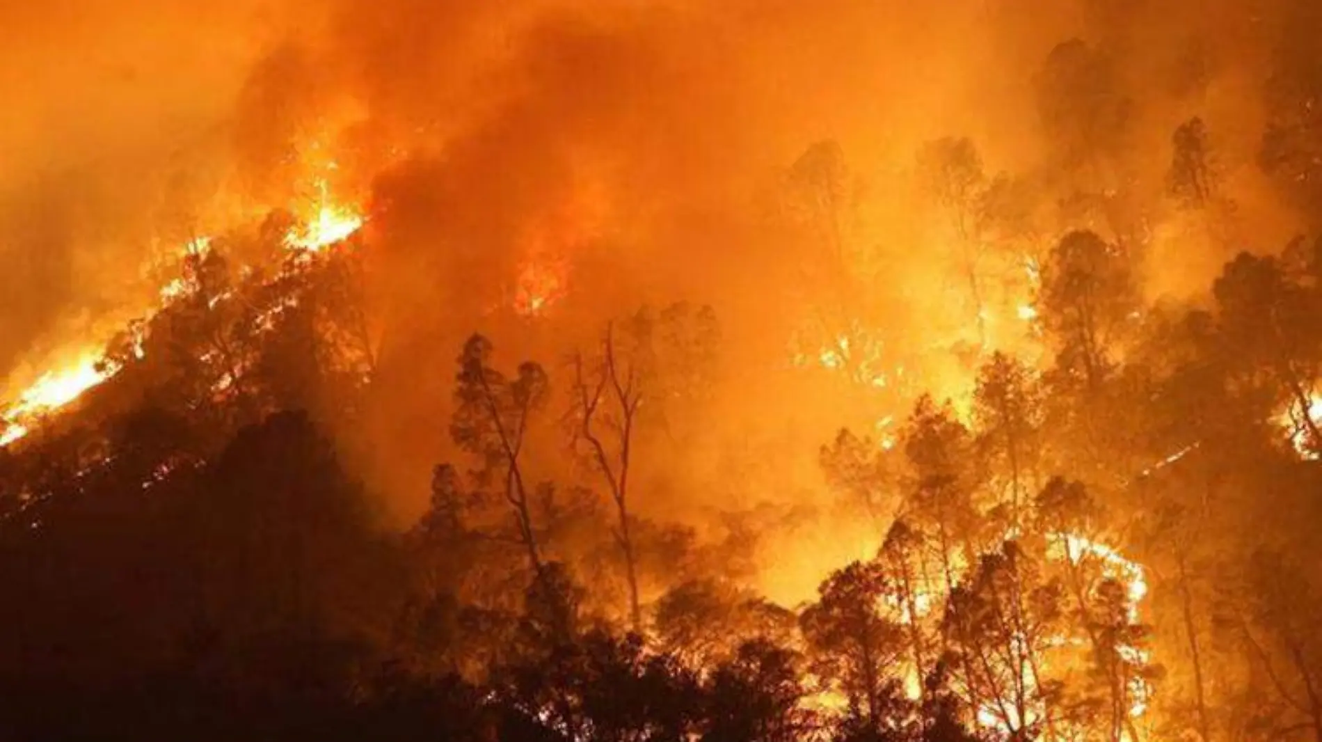 incendios-en-california-e1626109188792