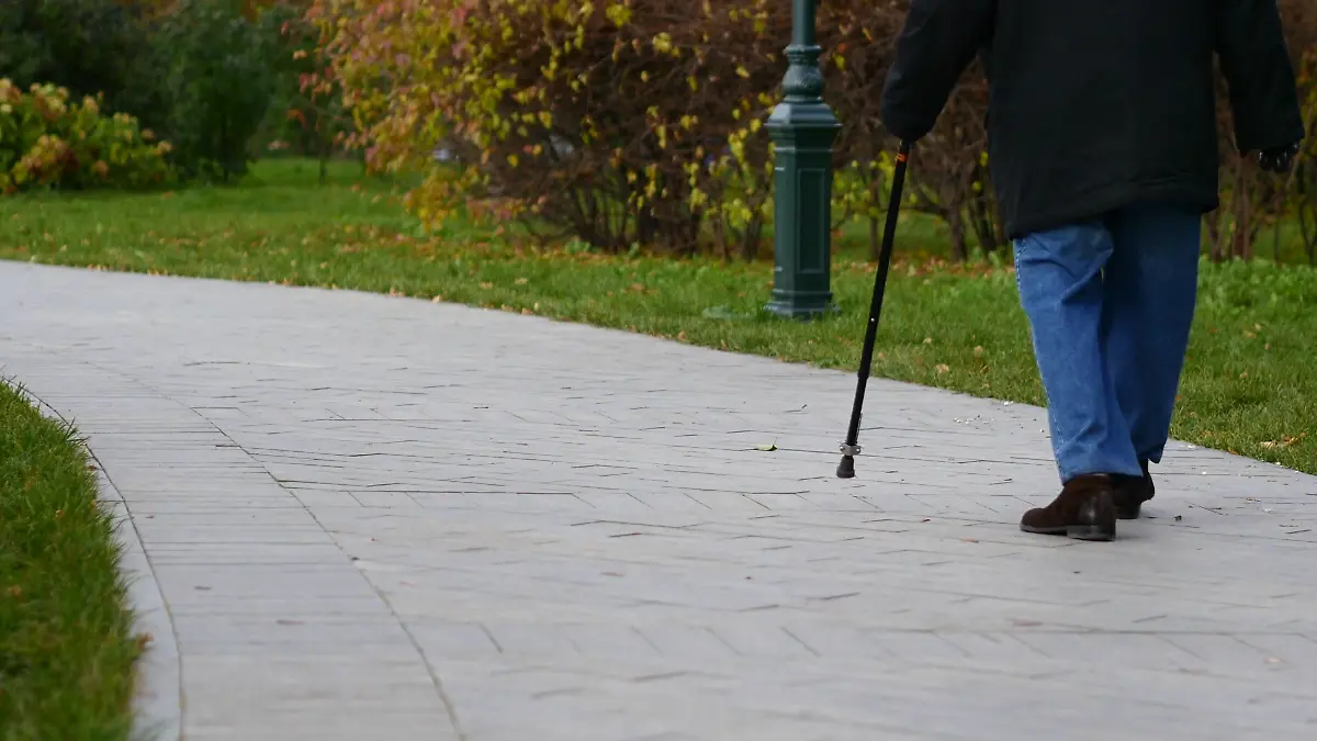 old-man-walking-in-the-park_srvewm31l_thumbnail-full01