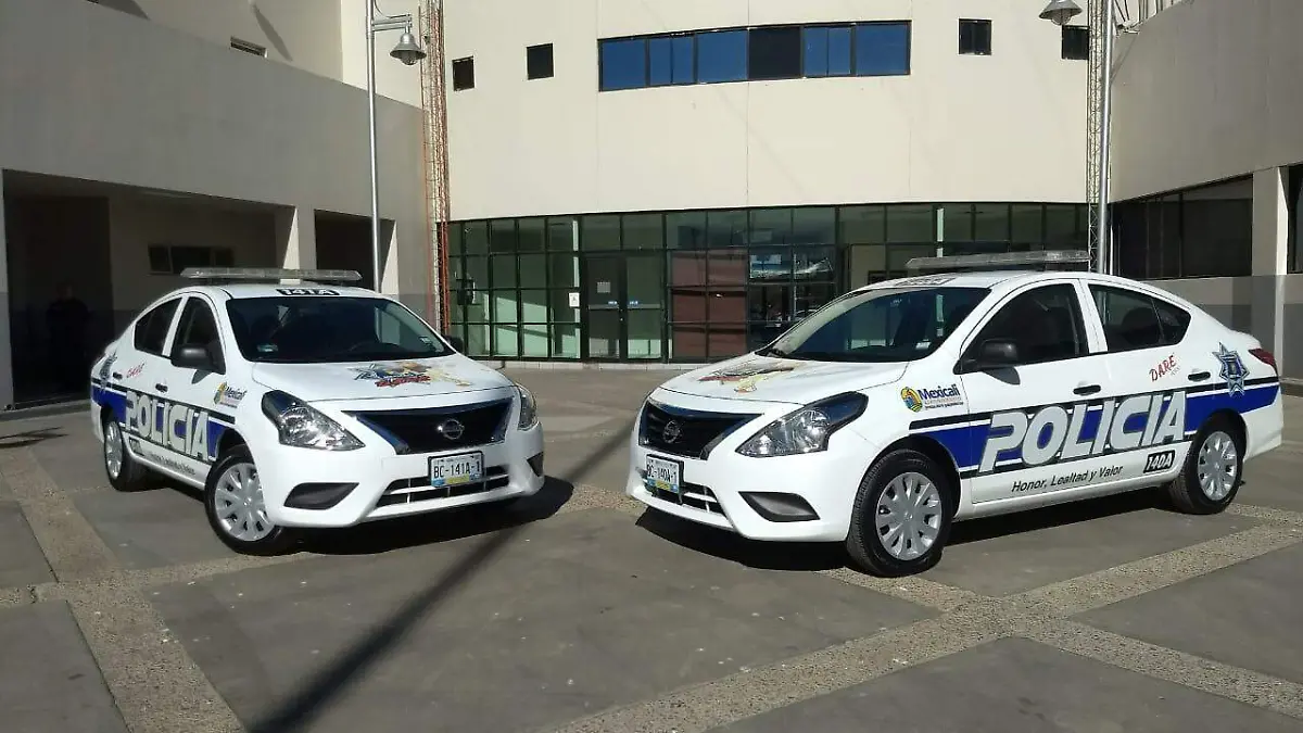 WhatsApp Image 2018-11-01 at 16.47.50