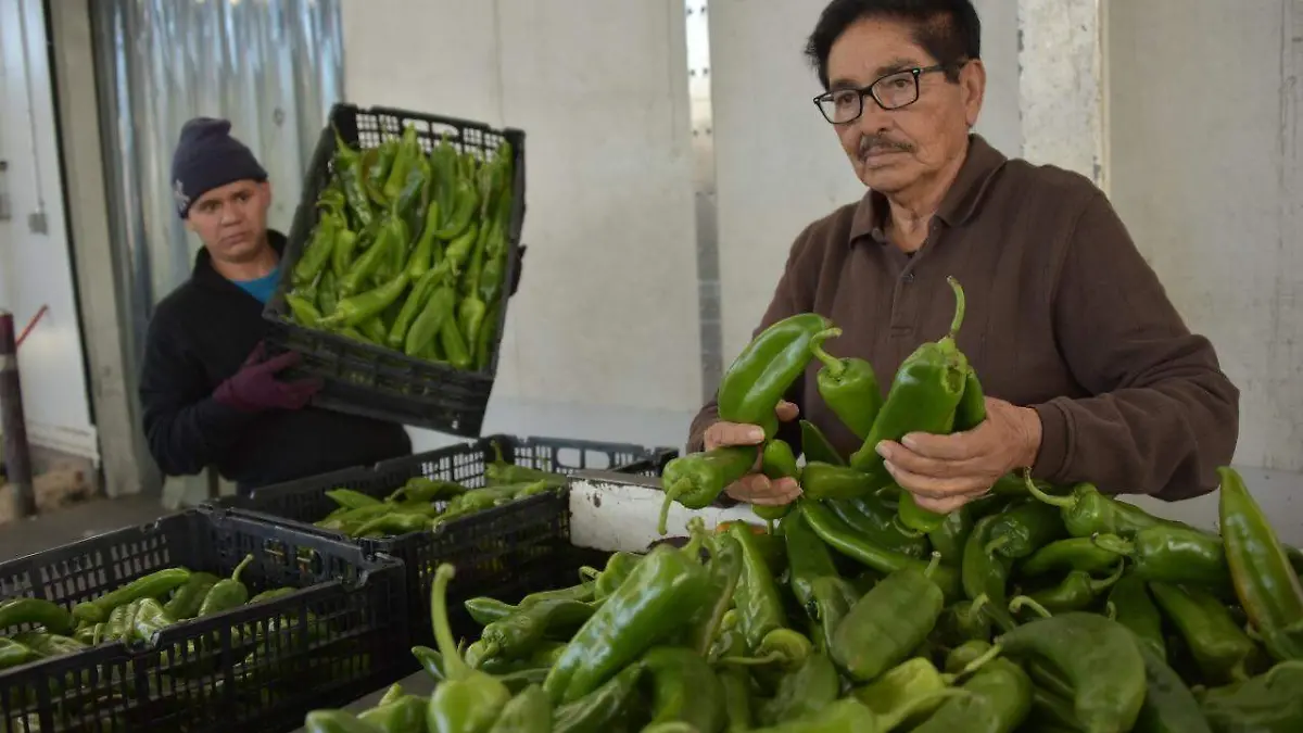 WhatsApp Image 2020-01-24 at 2.56.58 PM