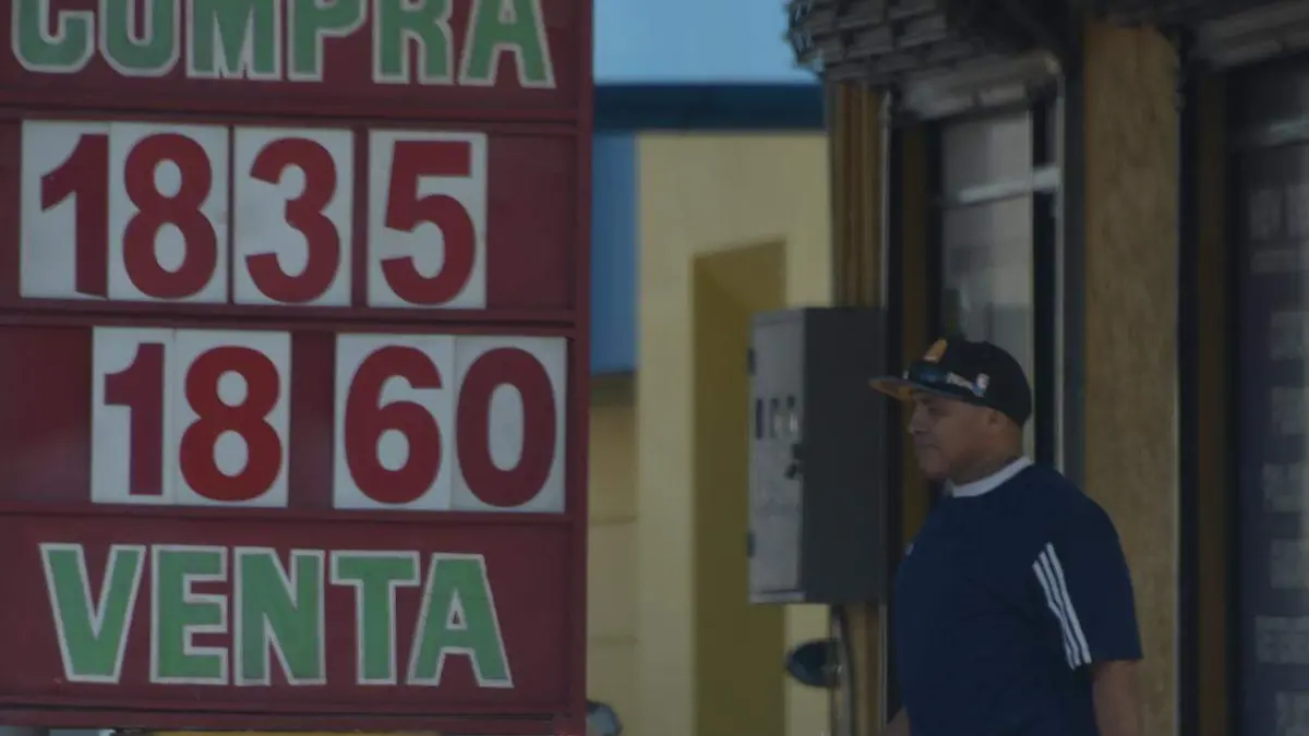 WhatsApp Image 2019-09-24 at 9.14.27 AM