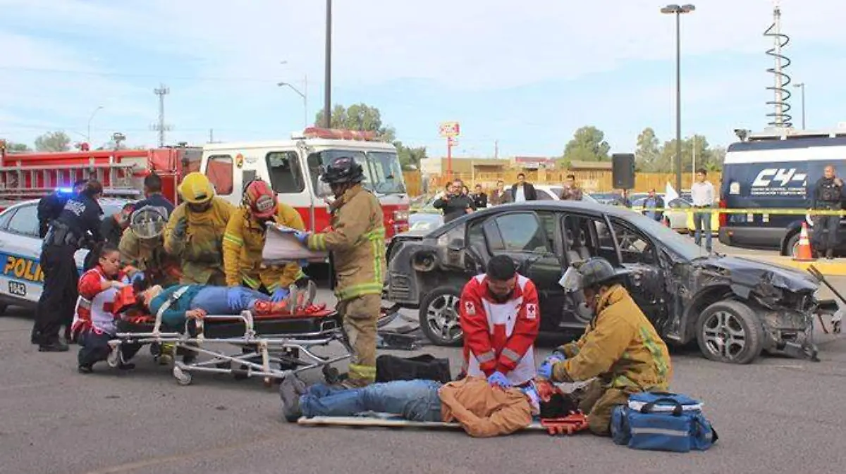 WhatsApp Image 2018-12-03 at 2.10.50 PM