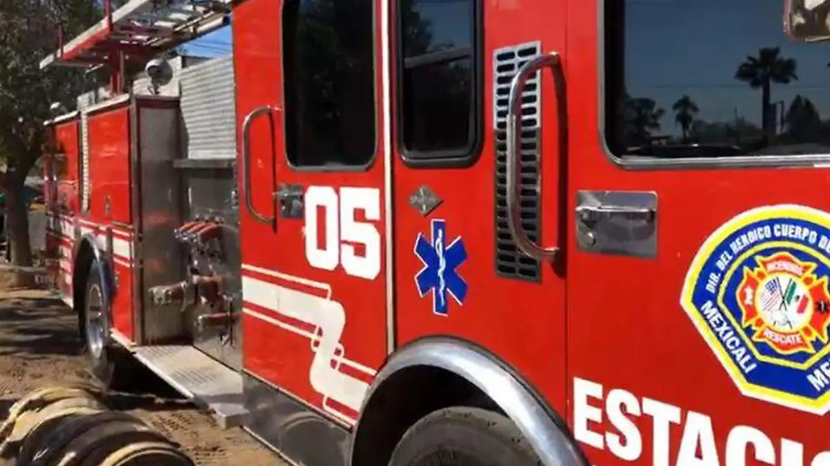 WhatsApp Image 2021-11-26 at 2.43.44 PM copia copia