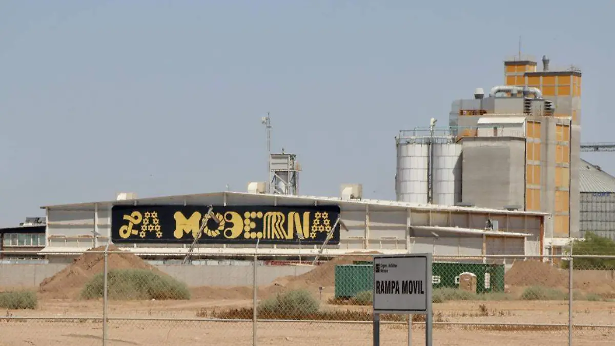 WhatsApp Image 2023-05-13 at 2.14.18 PM